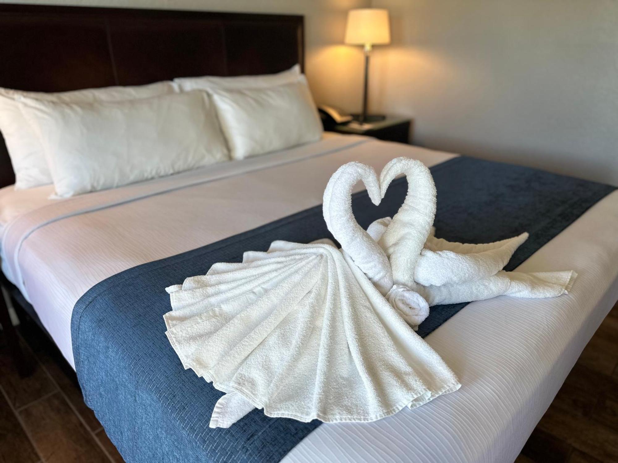 Lantern Inn & Suites - Sarasota Esterno foto