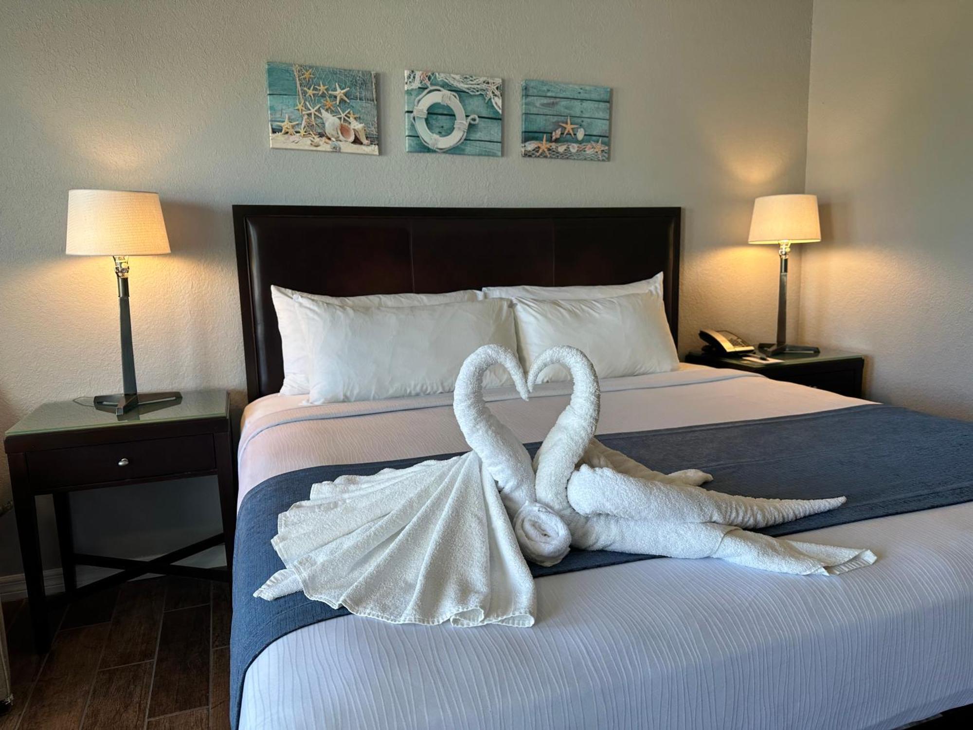 Lantern Inn & Suites - Sarasota Esterno foto